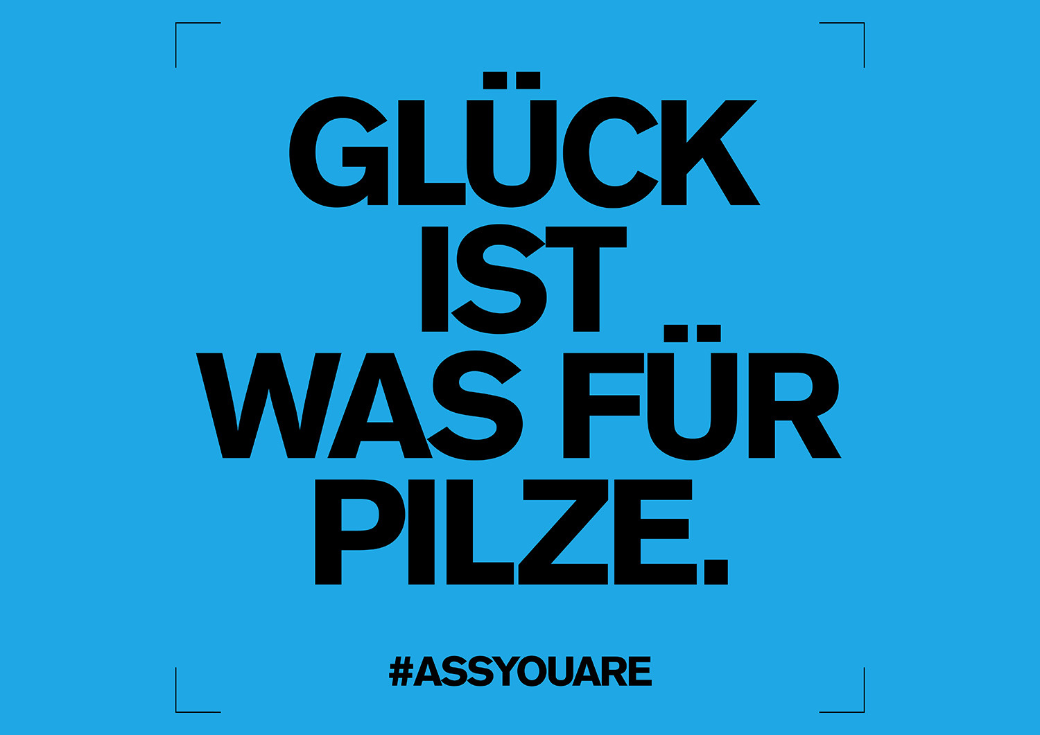 ASSYOUARE. Kampagne. 2